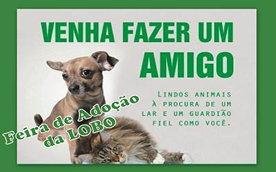 capa capa