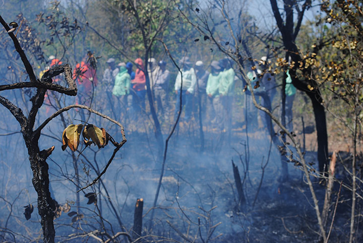 Implantada nova Unidade de Monitoramento e Combate a Incêndios Florestais no Oeste da Bahia (2)